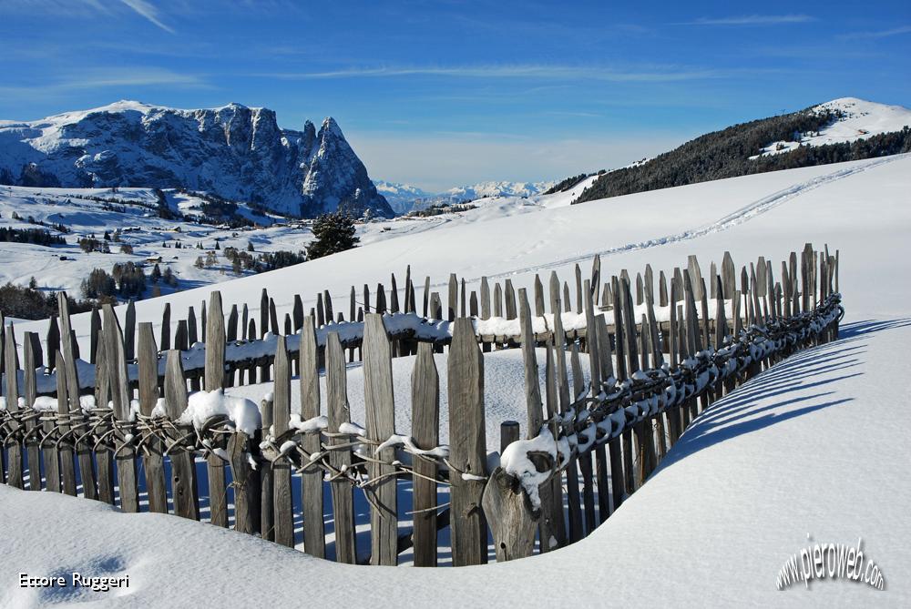 17 - l'azzurro oltre lo steccato.JPG